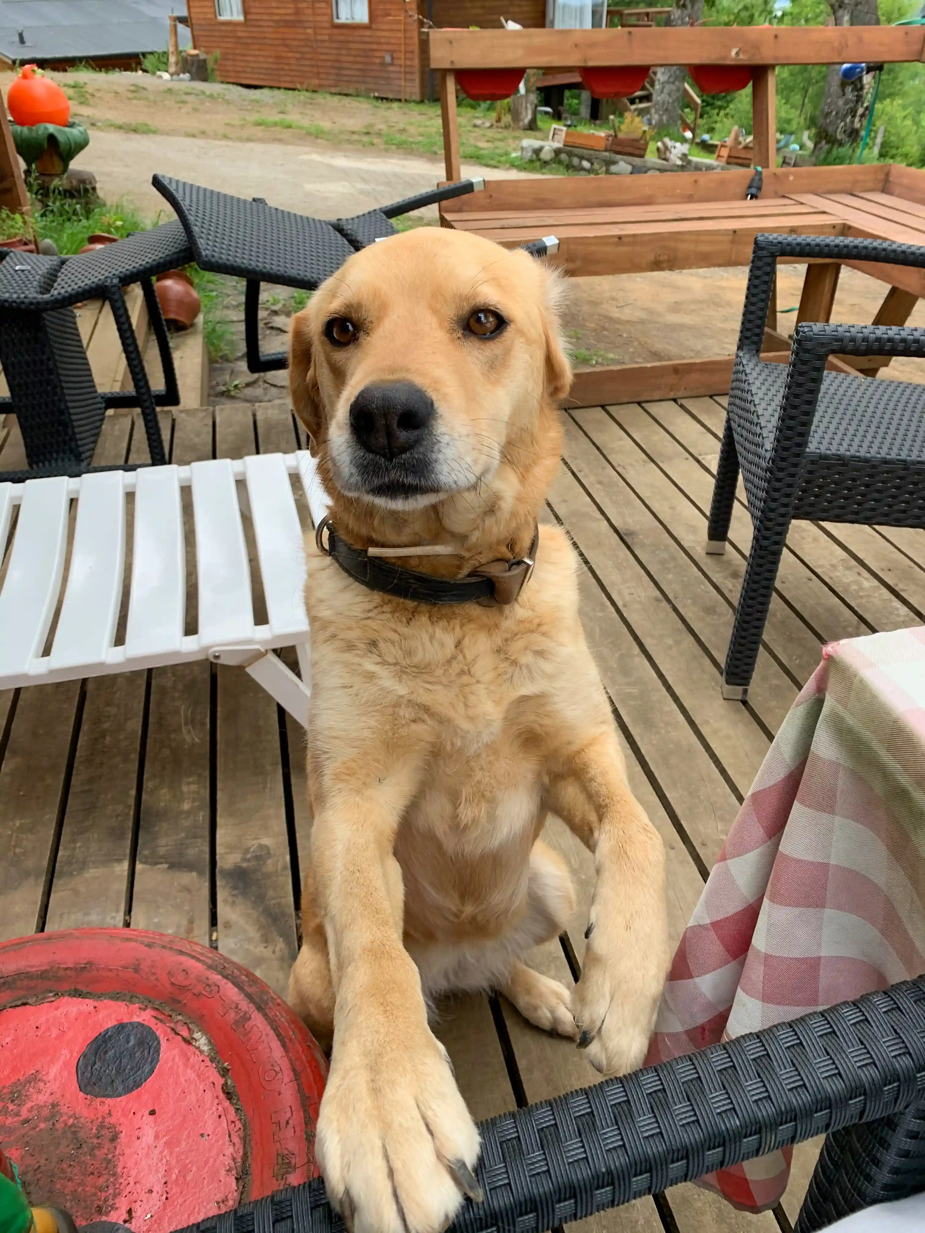 Über uns – Bild 1