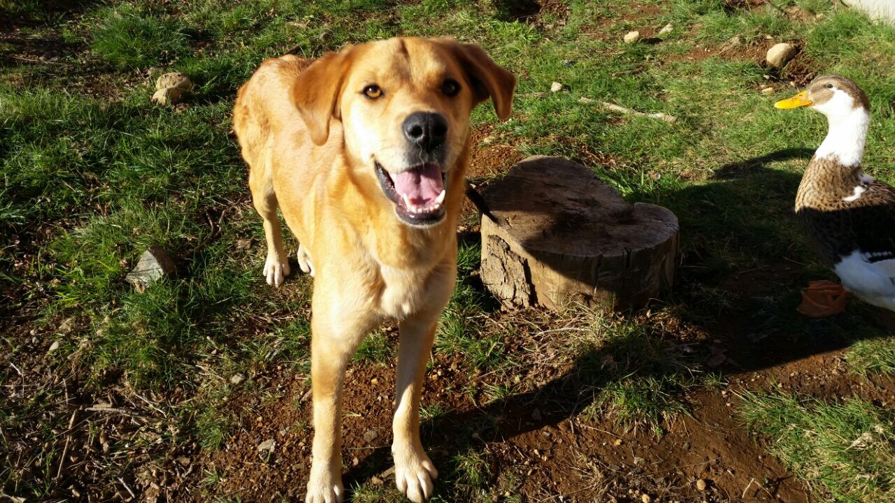 Über uns – Bild 2