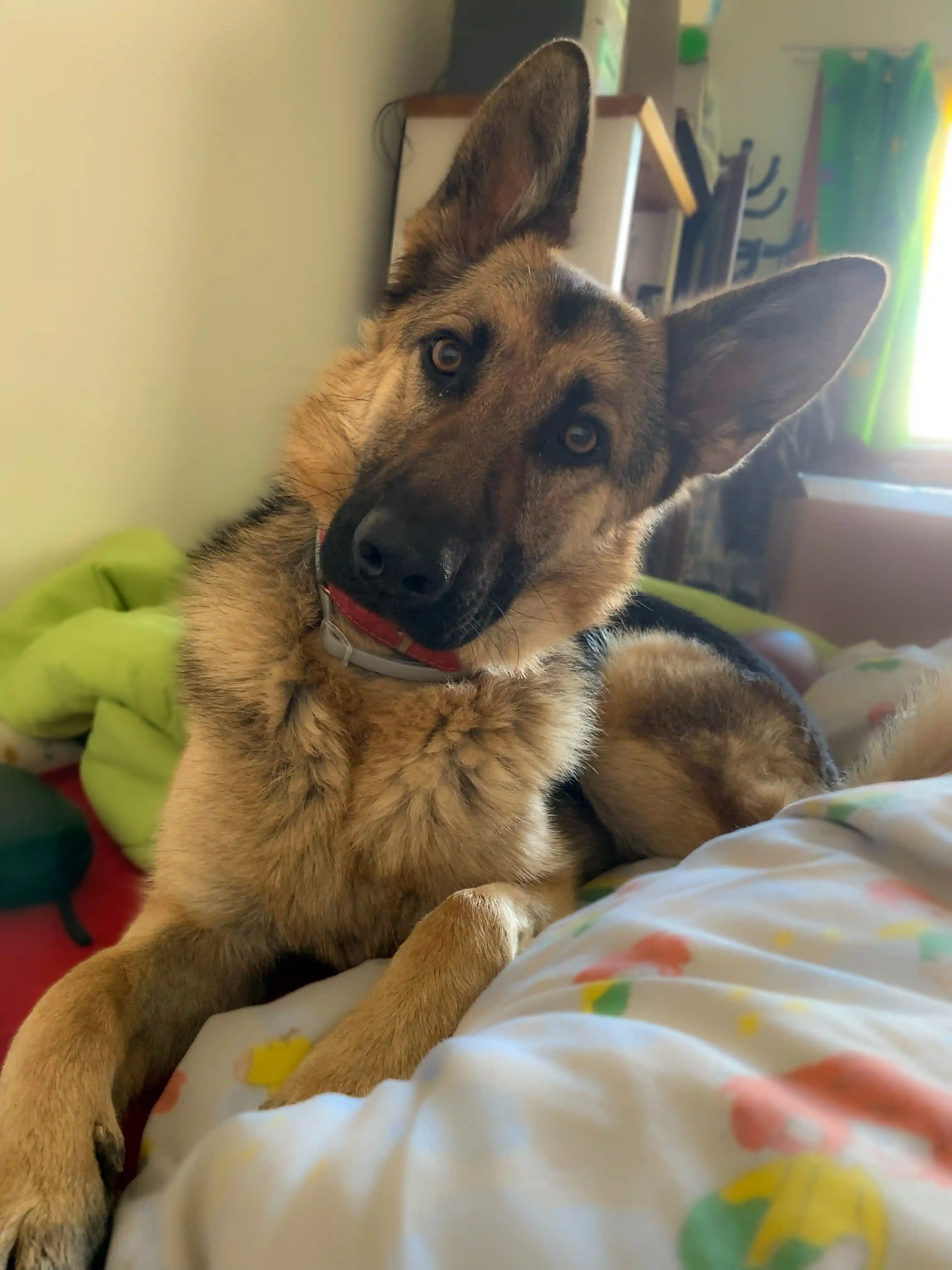 Über uns – Bild 3