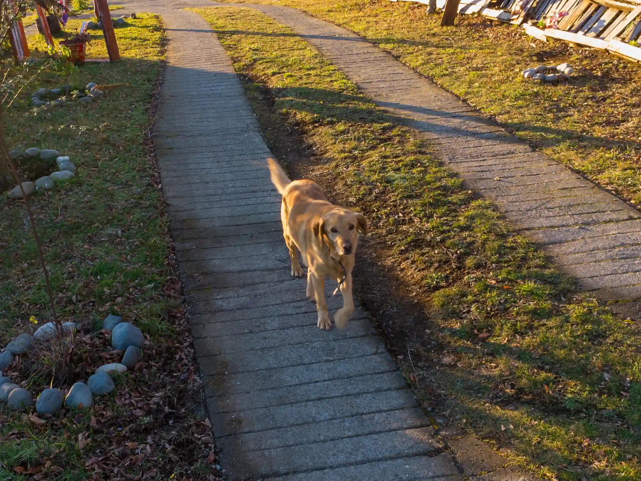 Über uns – Bild 6