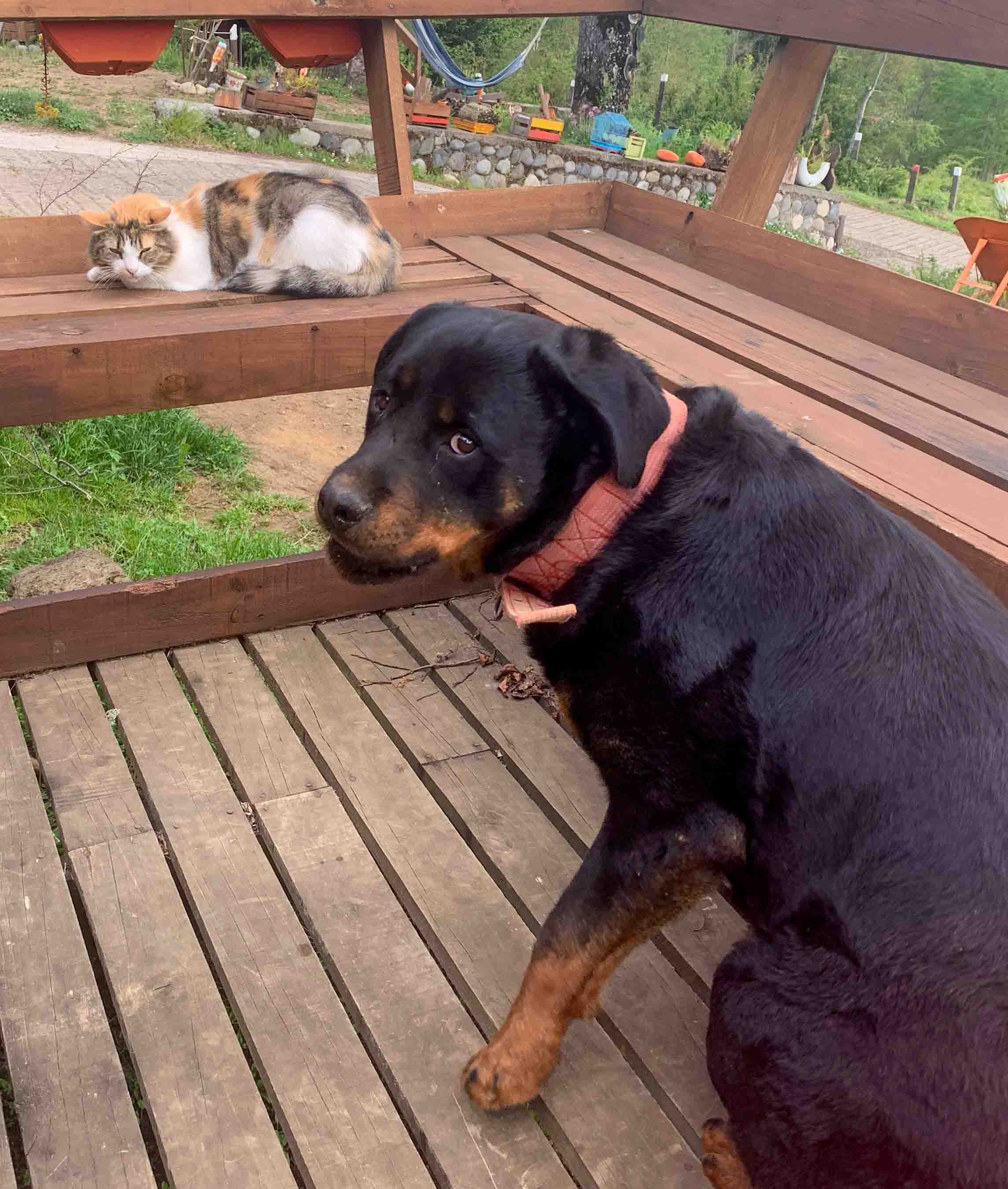 Über uns – Bild 7