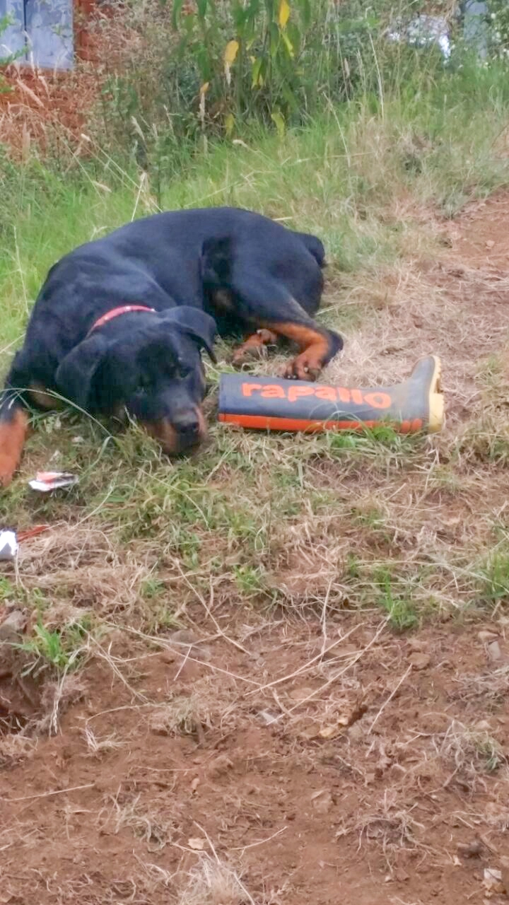 Über uns – Bild 8