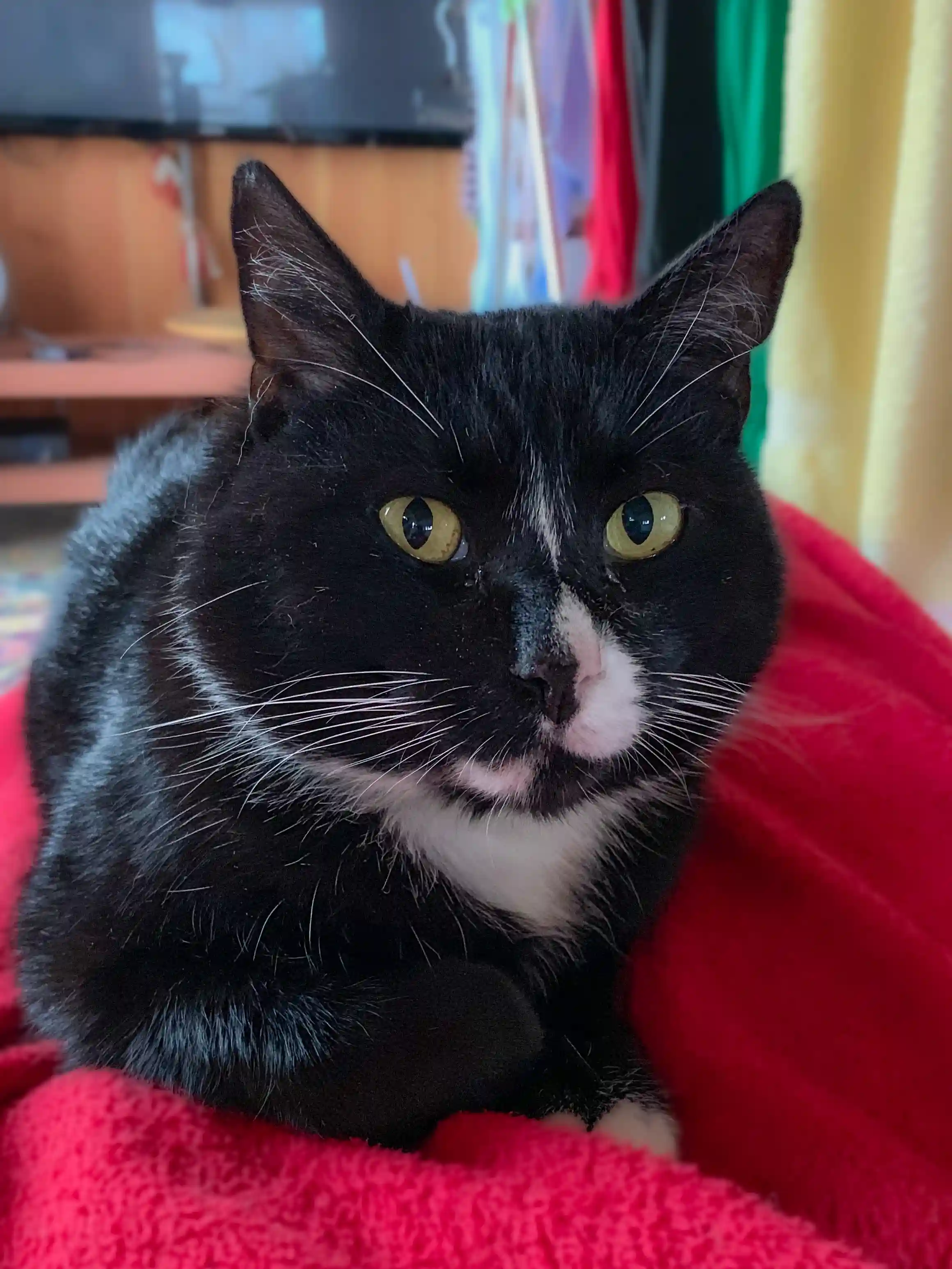 Über uns – Bild 9