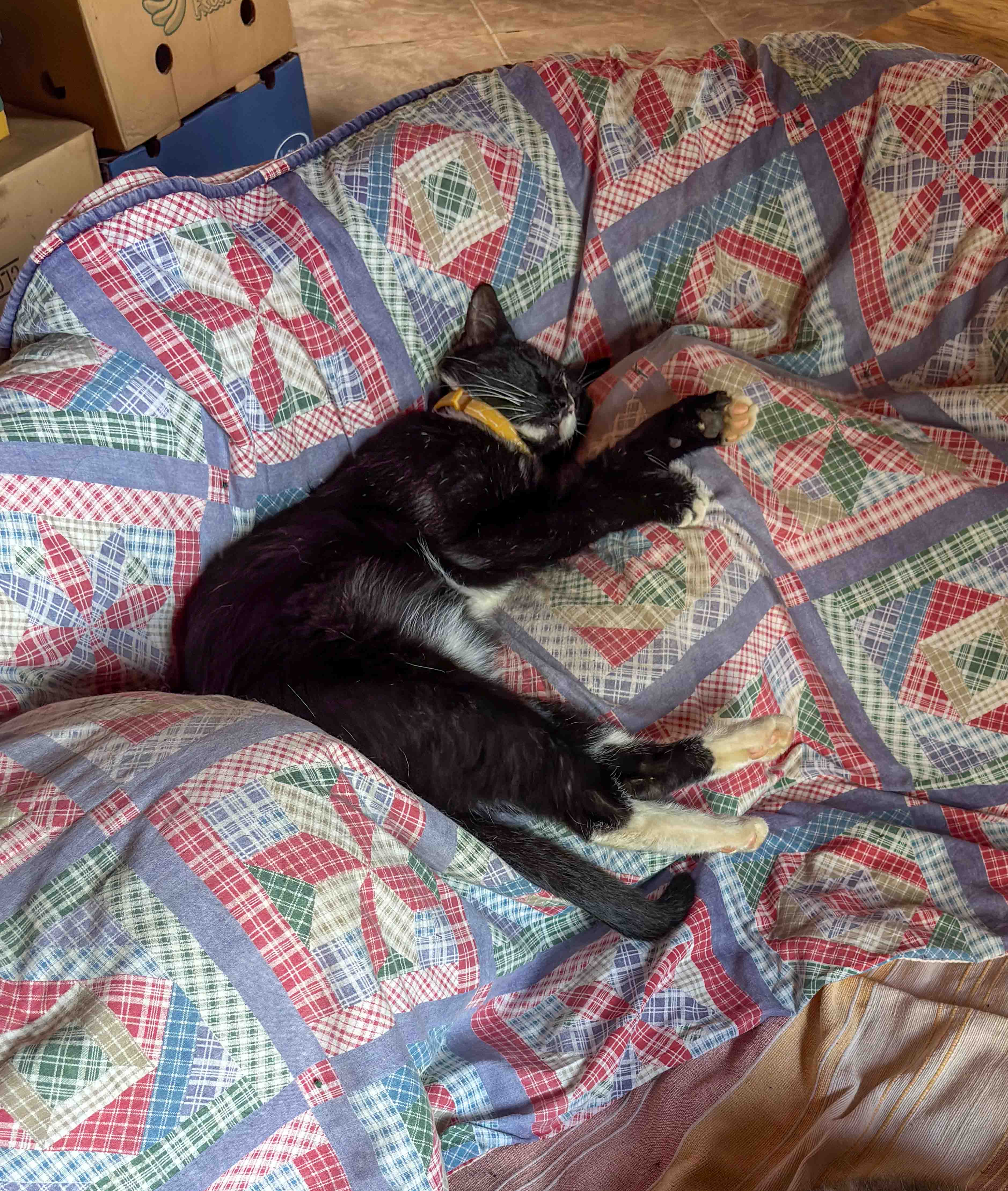 Über uns – Bild 10