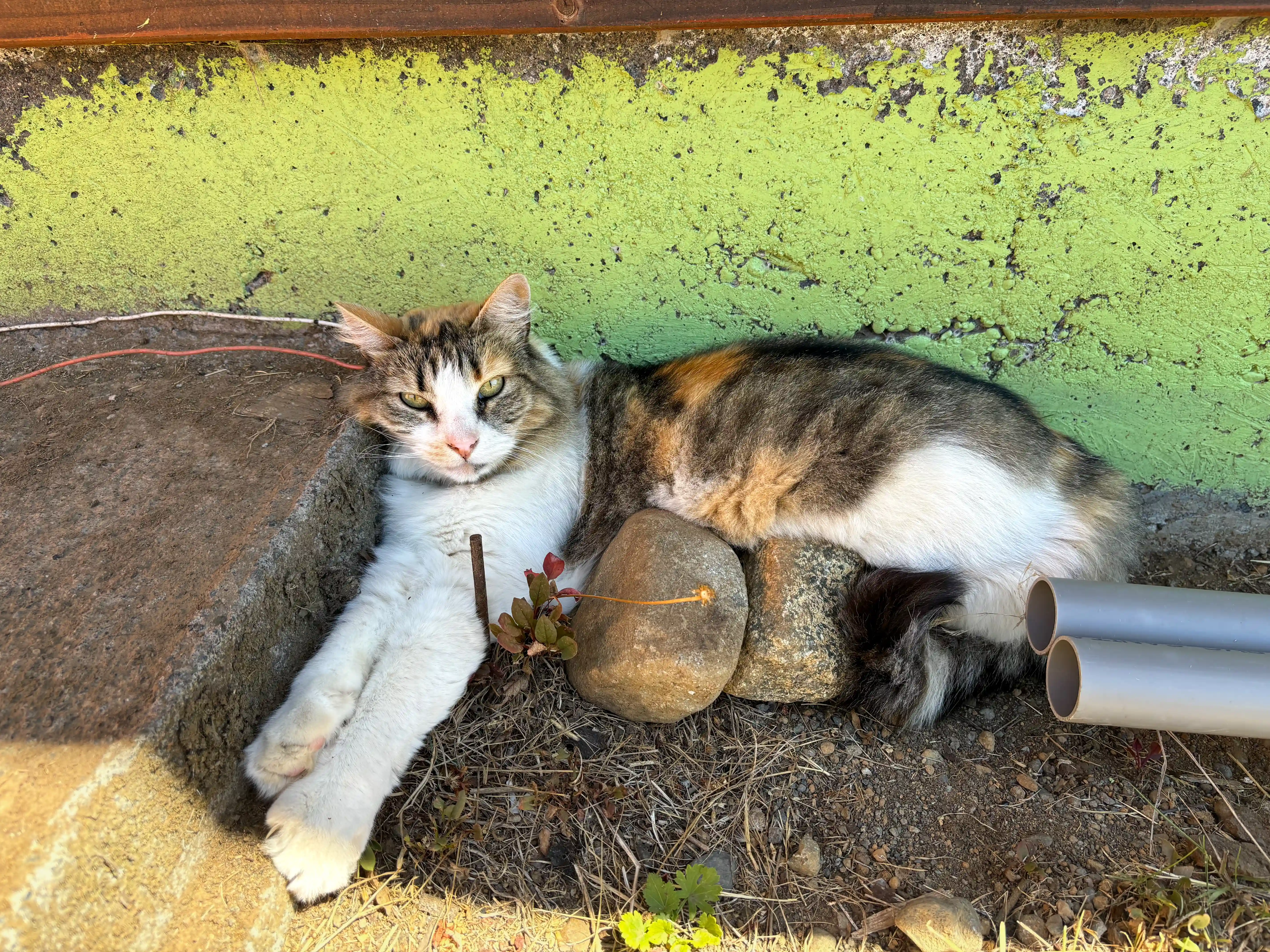 Über uns – Bild 11