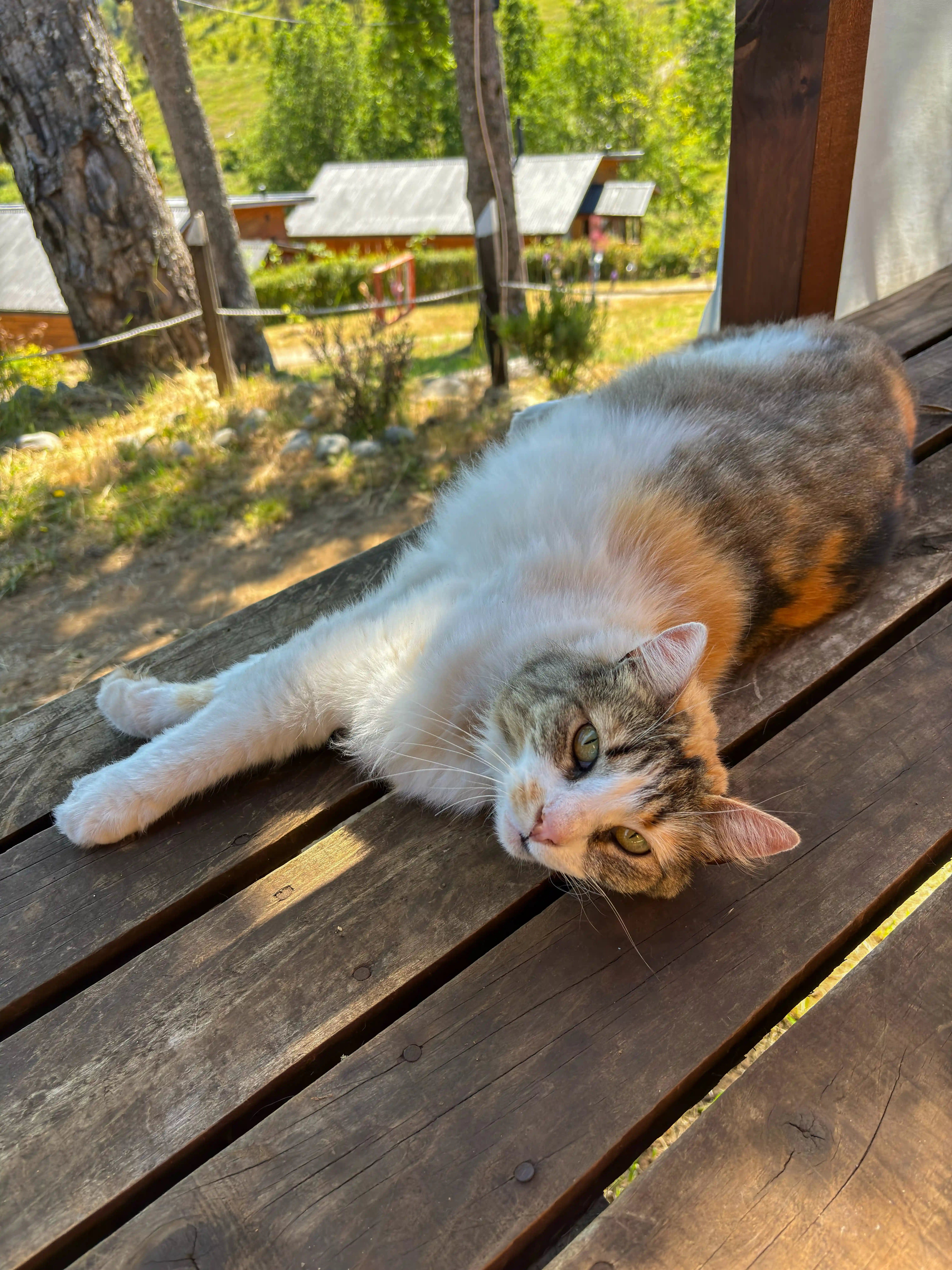 Über uns – Bild 12