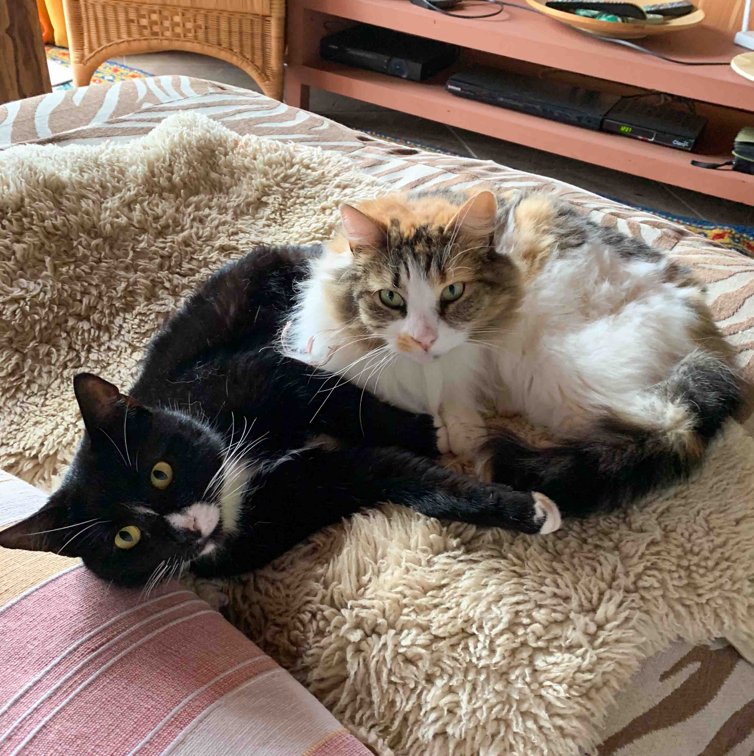 Unsere Tiere – Bild 3